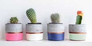 ONE, viacúčelová farba v spreji, MASTON