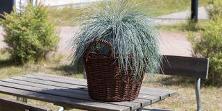 RUST EFFECT, sprej s efektom hrdze, MASTON