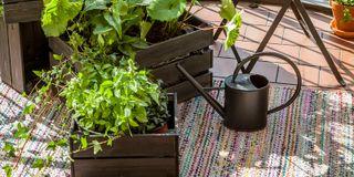 PATIO VERSO, olej na drevo, TIKKURILA