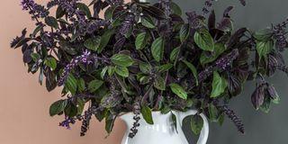 OPTIVA 20 SEMI MATT, umývateľná farba, TIKKURILA