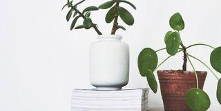 SPRAYPAINT MASTON FURNITURE CHALK - Kriedová farba v spreji na nábytok