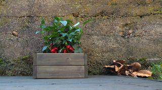 PATIO VERSO, olej na drevo, TIKKURILA